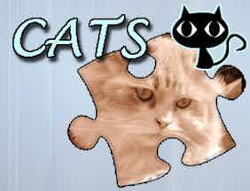 Jigsaw puzzle cats