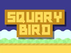 Squary bird